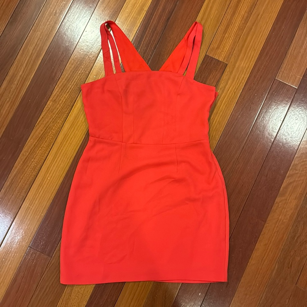 Silence + Noise Red Dress